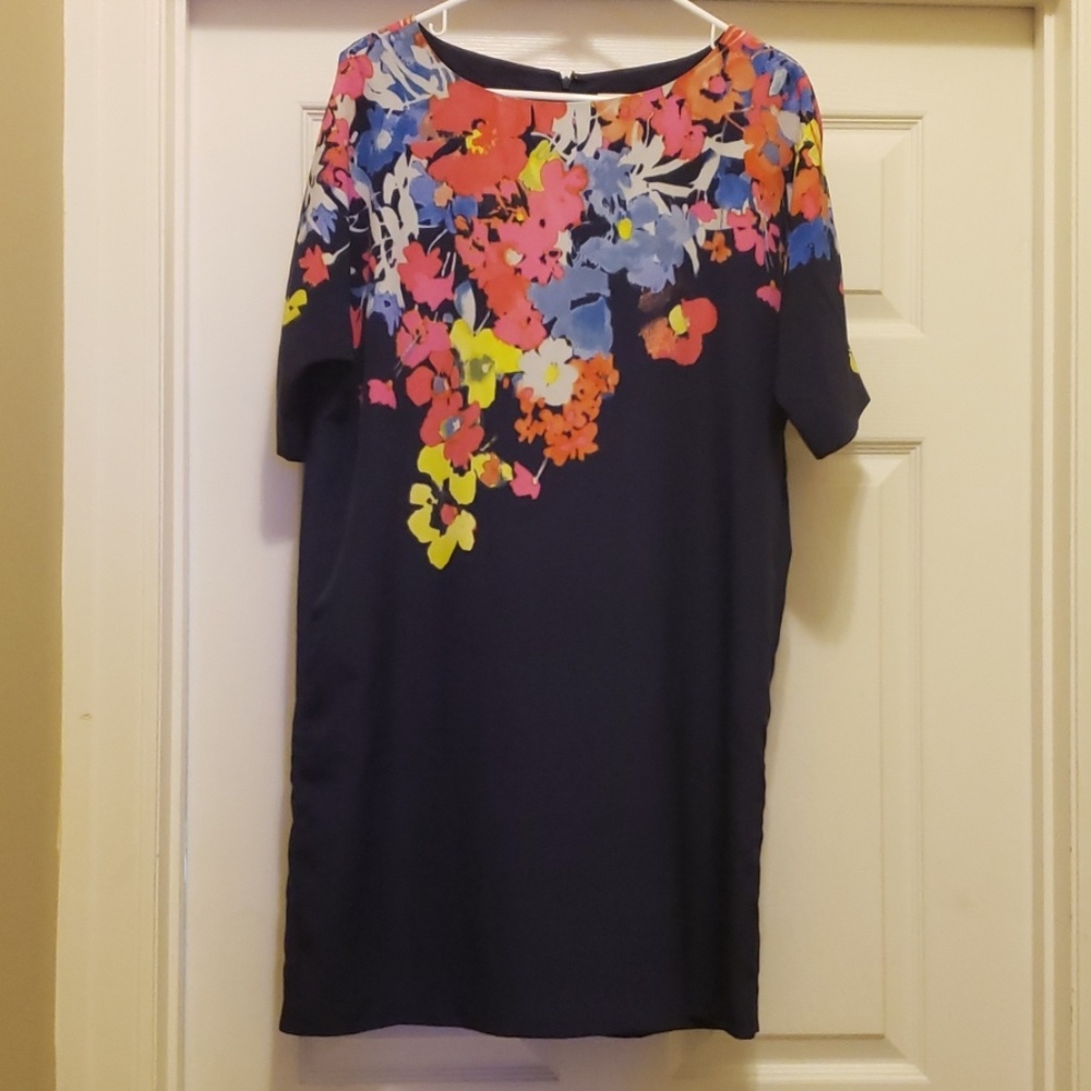 Ann Taylor Loft Dress